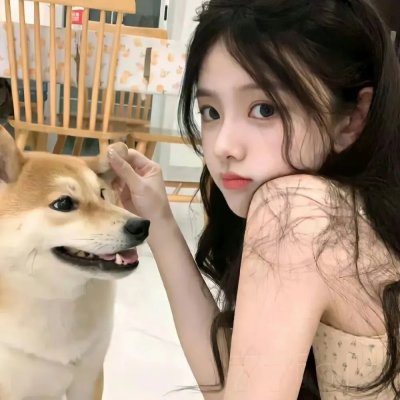 天网行动2019
